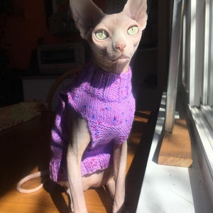 Pattern, Sphynx Cat Knitted Tank Top, PDF and Video Instructions, Cats and Small Dogs Initial Sweater Pattern image 3