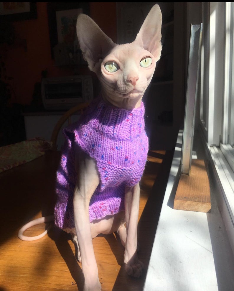 Pattern, Sphynx Cat Knitted Tank Top, PDF and Video Instructions, Cats and Small Dogs Initial Sweater Pattern image 3