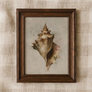 Könnte beinhalten: Gerahmter Druck mit einer detaillierten Aquarellmalerei einer Muschelschale. Die Schale ist in Braun- und Beigetönen dargestellt und hat eine strukturierte Oberfläche. Der Rahmen ist aus dunkelbraunem Holz.