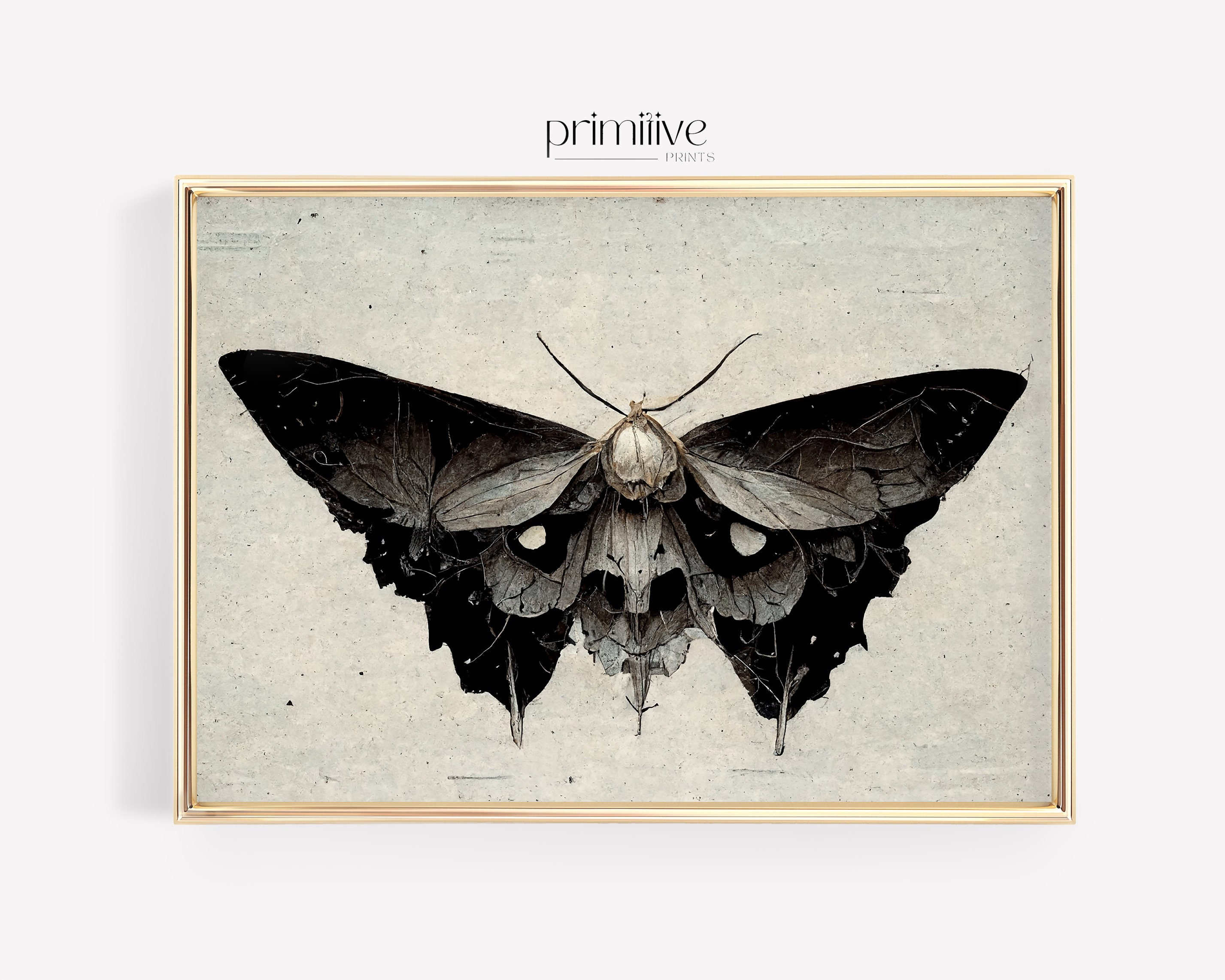 Moth Print Dark Academia Wall Art Dark Home Decor Classical - Etsy