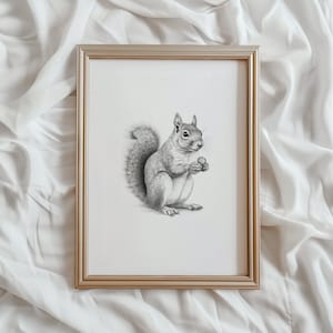 May include: A framed black and white pencil drawing of a squirrel holding a nut in its paws.