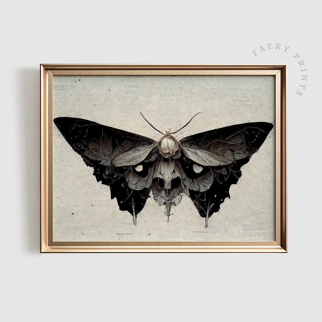 Dark Academia Moth Art Print, Moody Insect Home Decor (digital Download ...