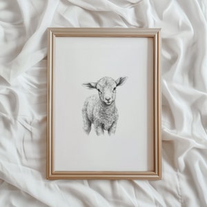 May include: A black and white pencil drawing of a cute lamb in a gold frame. The lamb is looking directly at the viewer with its head tilted slightly to the side. The drawing is on a white background.