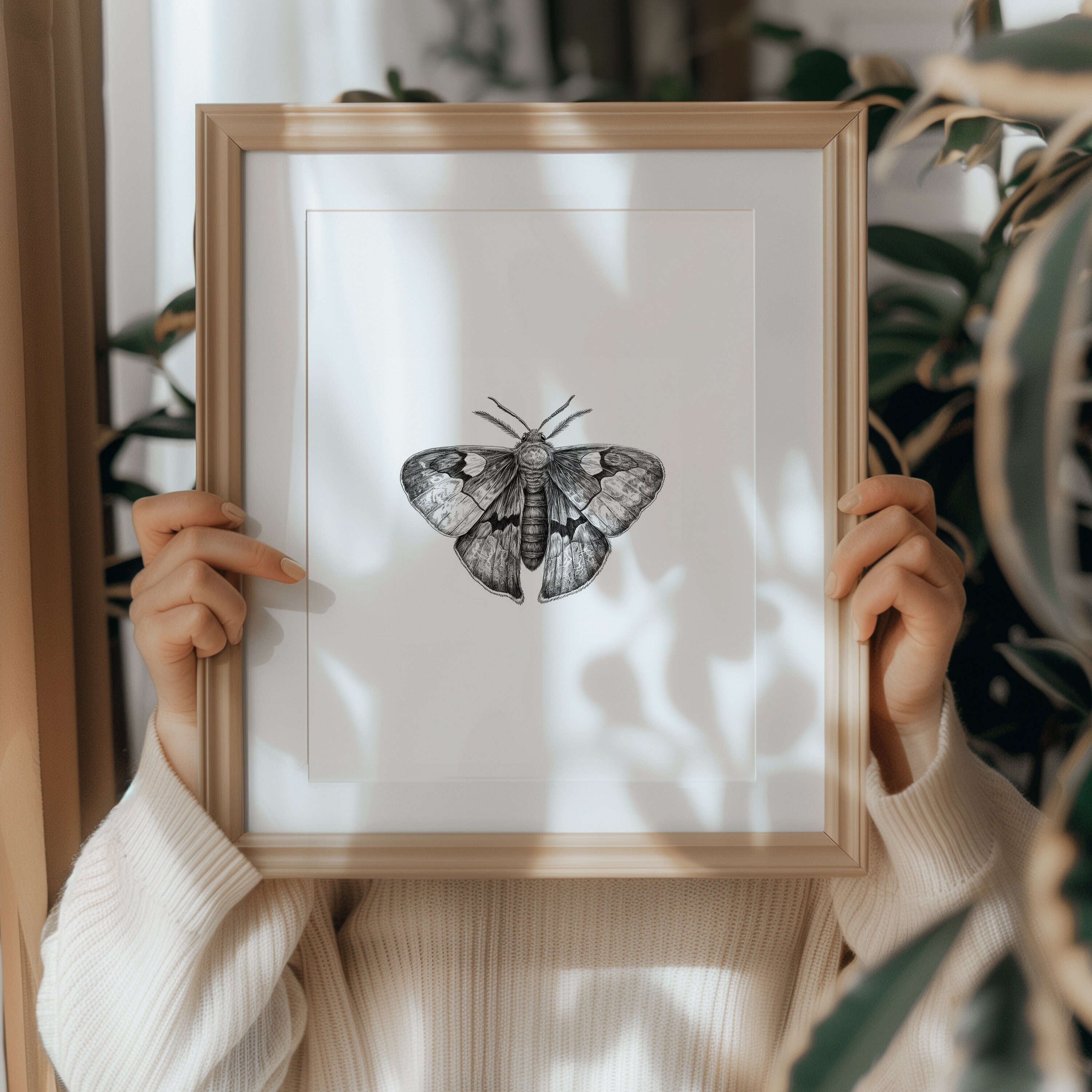 Moth Sketch Print | Dark Academia Insect Wall Art (digital Download) - Etsy