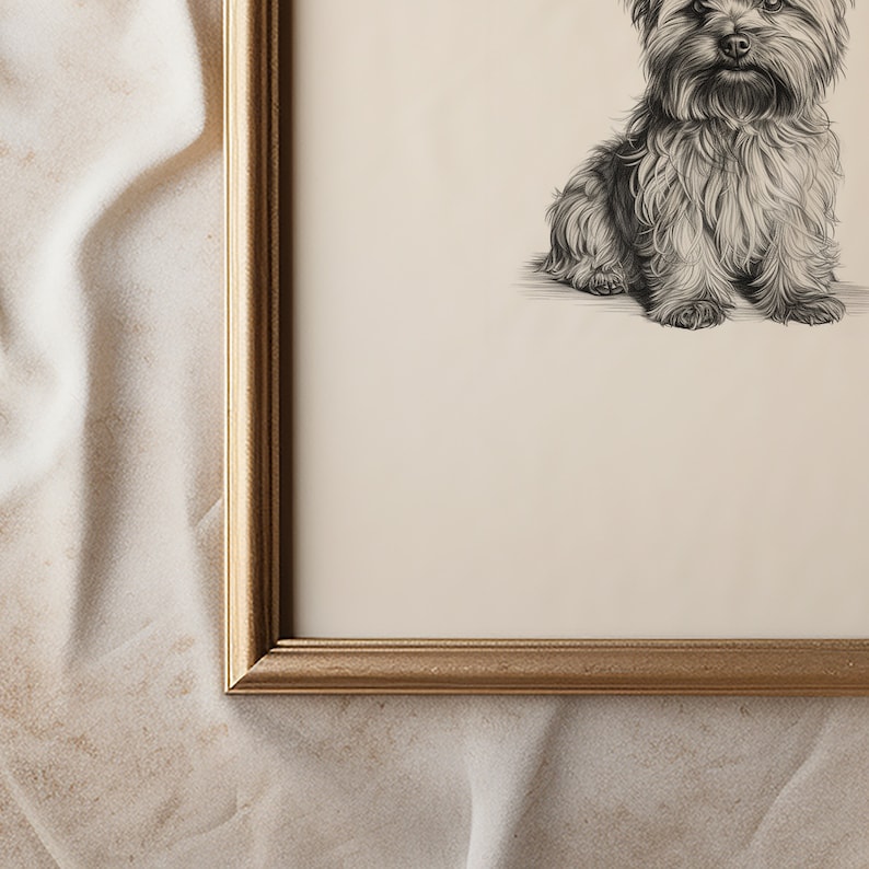 May include: A black and white drawing of a Yorkshire Terrier sitting in a gold frame.