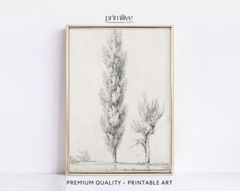 Antique Tree Art Sketch | Digital PRINTABLE Wall Art | Vintage Minimalist Decor | Neutral Wall Artwork | Winter Plant Print Drawing | #236