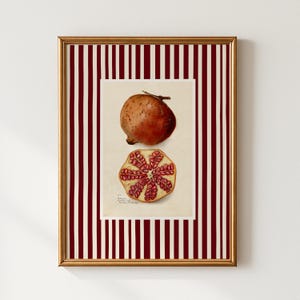 Pomegranate Kitchen Print: Vintage Farmhouse Fruit Wall Art (Digital Download)