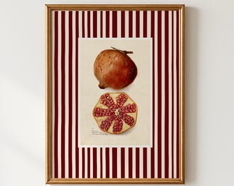 Pomegranate Kitchen Print: Vintage Farmhouse Fruit Wall Art (Digital Download)