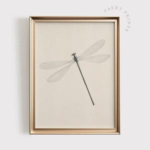 Dragonfly Print | PRINTABLE Art | Vintage Insect Wall Print | Rustic Farmhouse Digital Artwork | Antique Dragonfly Sketch | #533