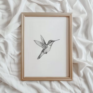 Hummingbird Sketch | Bird PRINTABLE Wall Art | Black and White Bird Digital Artwork | Spring Home Decor | Hummingbird Drawing | #860