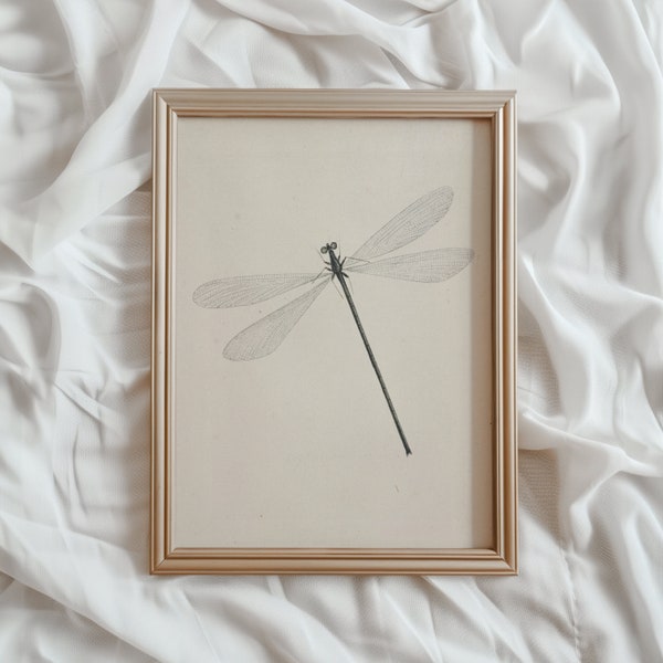Dragonfly Print | PRINTABLE Art | Vintage Insect Wall Print | Rustic Farmhouse Digital Artwork | Antique Dragonfly Sketch | #533
