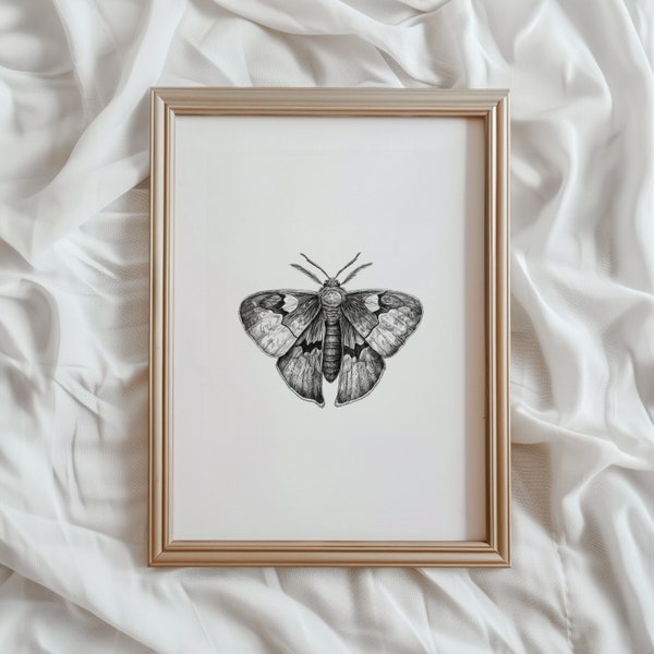 Impression papillon de nuit | Art mural imprimable | Croquis d'insecte | Oeuvre d'art numérique Dark Academia | Impression monochrome minimaliste | Dessin papillon neutre | #494
