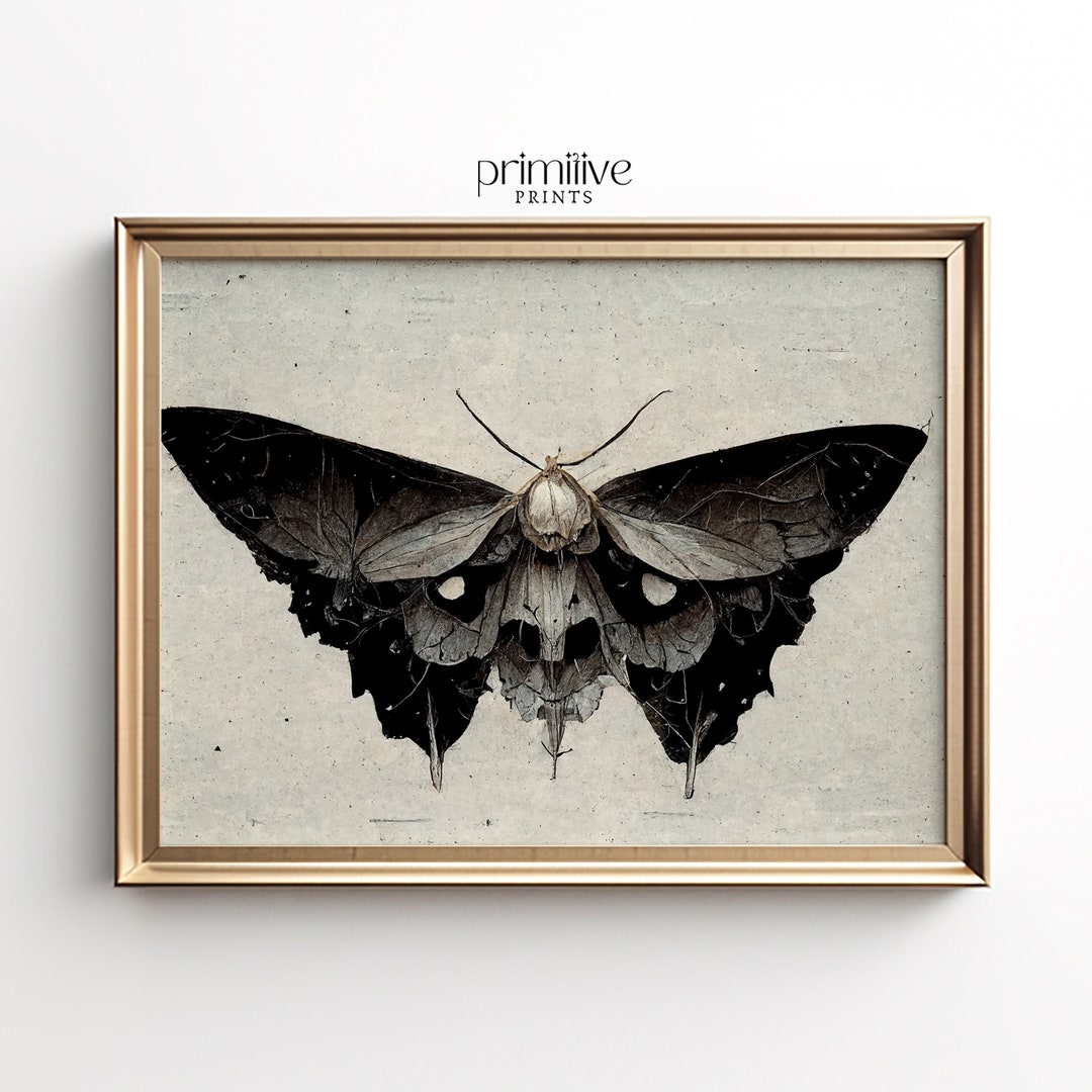 Moth Print, Dark Academia Wall Art, Dark Home Decor, Classical ...