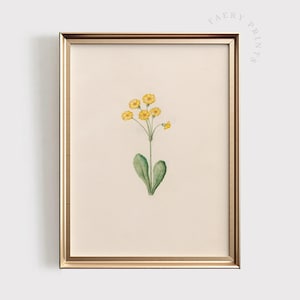 Yellow Wildflower Botanical Print | Delicate Wildflower PRINTABLE Wall Art | Floral Plant Illustration | Yellow Nursery Decor | #1397