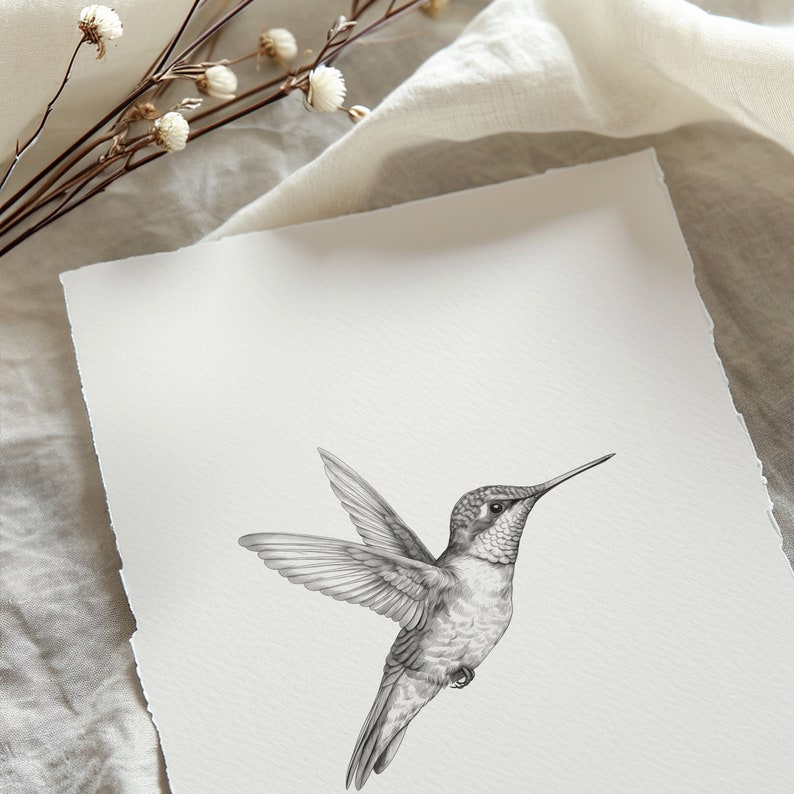 Hummingbird Sketch Bird PRINTABLE Wall Art Black and White Bird Digital Artwork Spring Home Decor Hummingbird Drawing 860 image 4