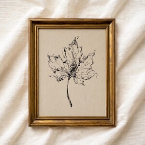 Vintage Maple Leaf Sketch Print: Minimalist Botanical PRINTABLE Art, Nature Study Line Drawing, Farmhouse Neutral Decor (Digital Download)