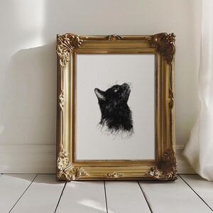 May include: A black and white illustration of a cat looking up, framed in a gold ornate frame.