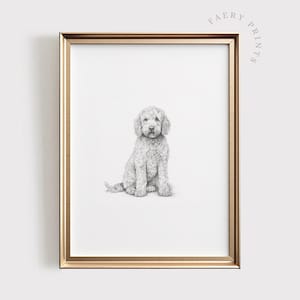 Goldendoodle Print | Doodle Dog Sketch | PRINTABLE Wall Art | Pet Digital Artwork | Animal Home Decor | Puppy Dog Drawing | #501