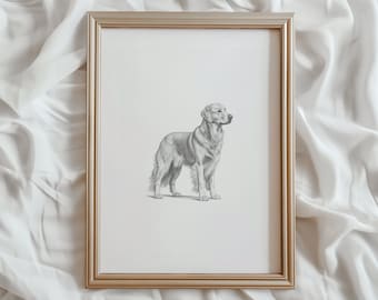 Golden Retriever Print | Dog Sketch | PRINTABLE Wall Art | Pet Digital Artwork | Animal Home Decor | Goldie Dog Drawing | #500