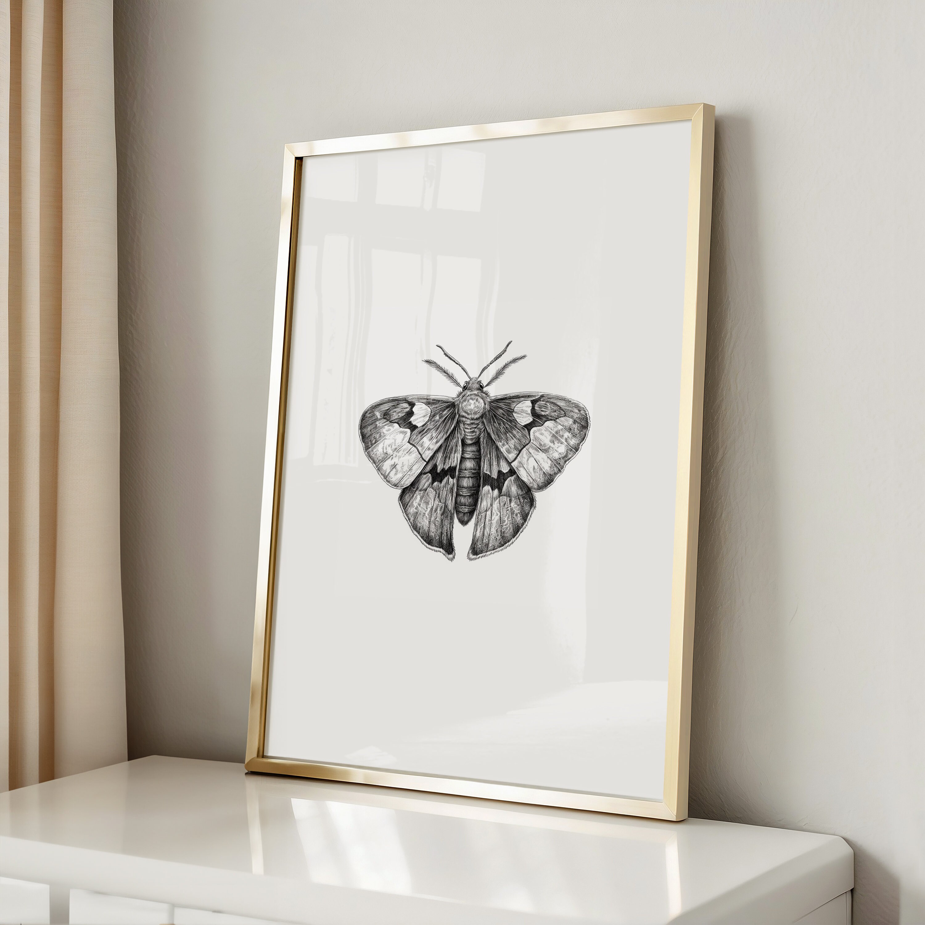 Moth Sketch Print | Dark Academia Insect Wall Art (digital Download) - Etsy
