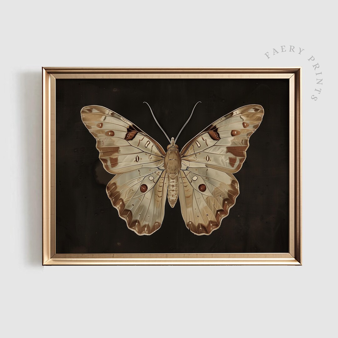 Vintage Moth Art Print | Dark Academia Insect Illustration (digital ...