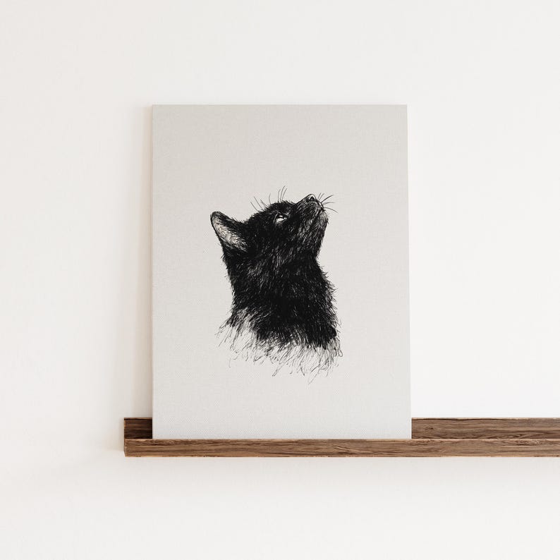 May include: A black and white line drawing of a cat looking up. The cat is drawn in a realistic style with detailed fur.