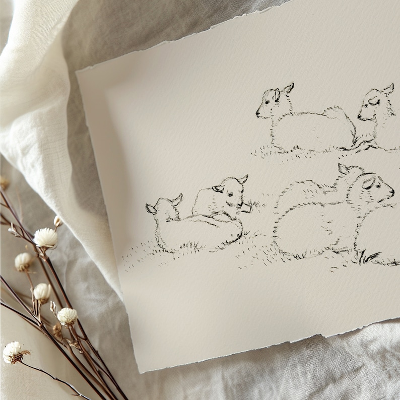 May include: A black and white line drawing of five lambs on a white background. The lambs are drawn in a simple, stylised manner, with their bodies and legs outlined in black. The lambs are all facing different directions, and some are looking at the viewer.
