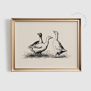 Goose Sketch Print | Vintage PRINTABLE Wall Art | Vintage Nursery Wall Art | Rustic Ducks Wall Decor | #914
