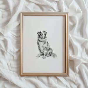 Australian Shepherd Print | Aussie Dog Sketch | PRINTABLE Wall Art | Pet Digital Artwork | Animal Home Decor | Aussie Dog Drawing | #796