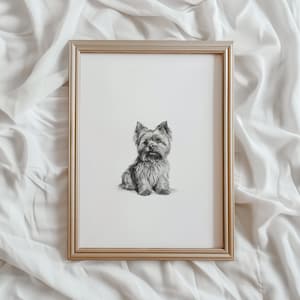 May include: A black and white pencil drawing of a Yorkshire Terrier sitting in a gold frame.
