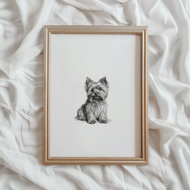 May include: A black and white pencil drawing of a Yorkshire Terrier sitting in a gold frame.