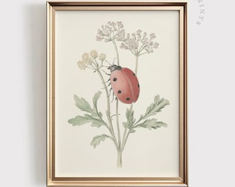 Może przedstawiać: Winietkowa ilustracja botaniczna przedstawiająca biedronkę na delikatnym białym kwiecie z zielonymi liśćmi. Biedronka jest czerwona z czarnymi kropkami i siedzi na kwiecie.