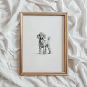 Peut inclure: Un dessin au crayon noir et blanc d'un caniche dans un cadre doré. Le caniche est debout sur un fond blanc.
