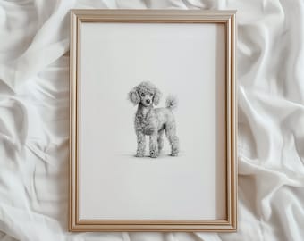 Miniature Poodle Dog Sketch Print | Dog PRINTABLE Wall Art | Pet Digital Artwork | Animal Home Decor | Poodle Breed Canine Drawing | #798