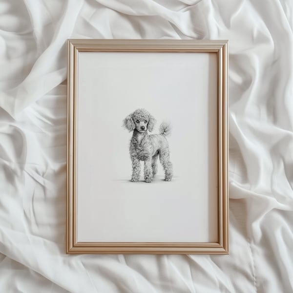 Miniature Poodle Dog Sketch Print | Dog PRINTABLE Wall Art | Pet Digital Artwork | Animal Home Decor | Poodle Breed Canine Drawing | #798