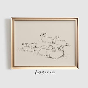 May include: A black and white line drawing of a group of lambs lying down in a field. The lambs are drawn in a simple, minimalist style.