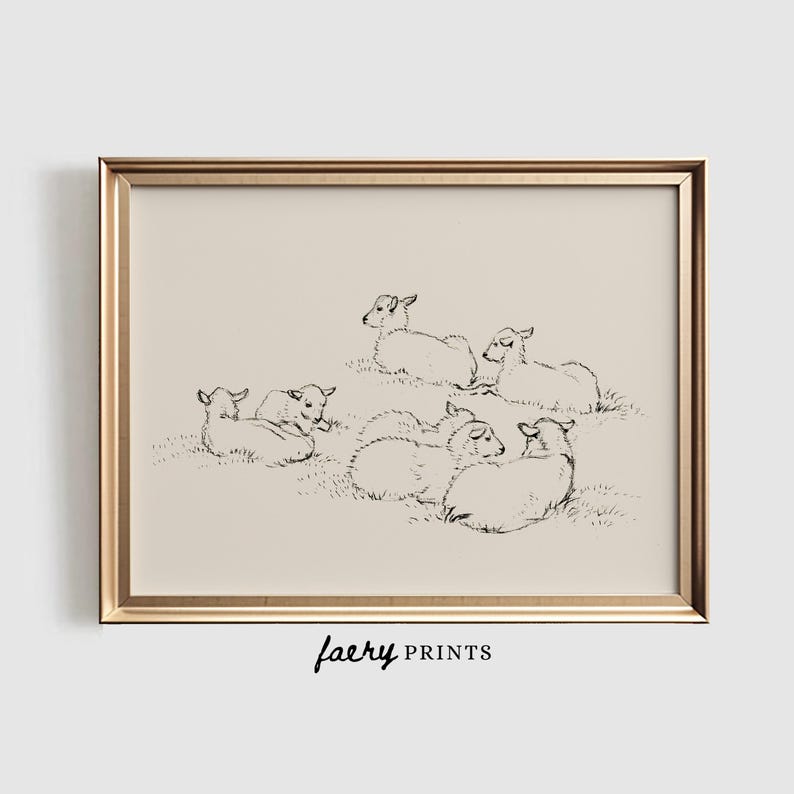 May include: A black and white line drawing of a group of lambs lying down in a field. The lambs are drawn in a simple, minimalist style.