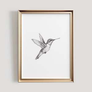 Hummingbird Sketch | Bird PRINTABLE Wall Art | Black and White Bird Digital Artwork | Spring Home Decor | Hummingbird Drawing | #860