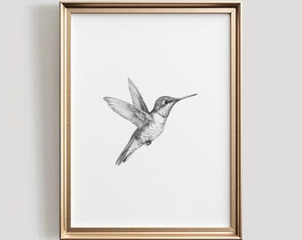Hummingbird Sketch | Bird PRINTABLE Wall Art | Black and White Bird Digital Artwork | Spring Home Decor | Hummingbird Drawing | #860