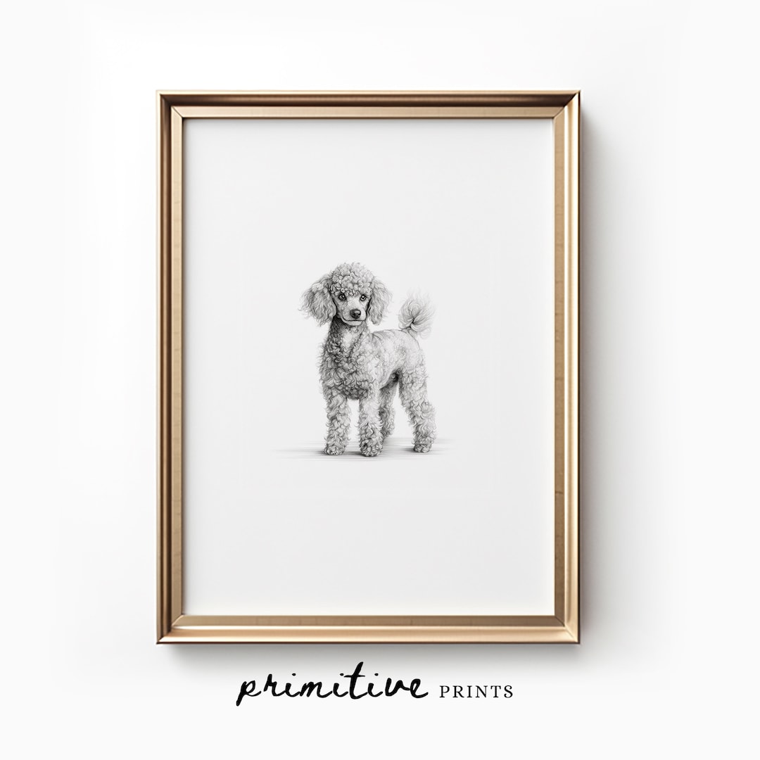 Miniature Poodle Dog Sketch Print Dog PRINTABLE Wall Art Pet Digital ...