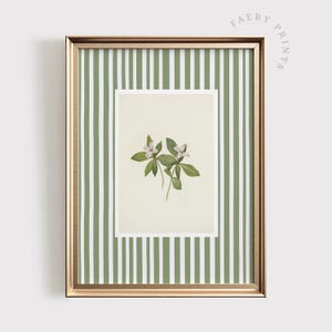 Floral Botanical Art Print | Pastel Green Stripe (Digital Download)