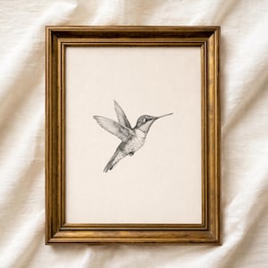 Hummingbird Sketch: Minimalist Bird Illustration | Neutral Bird Wall Art Print (Digital Download)
