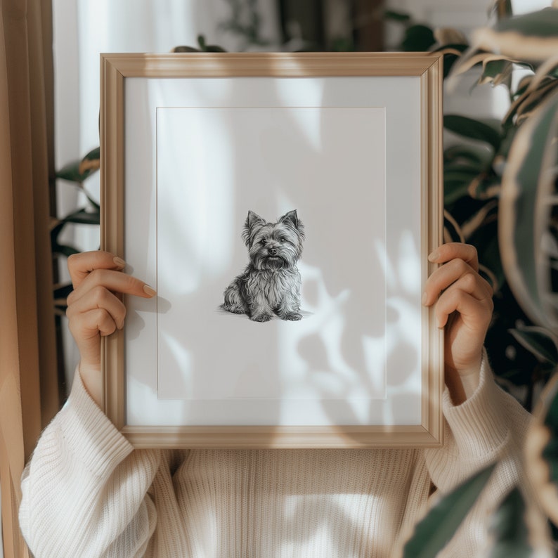 May include: A framed black and white drawing of a Yorkshire Terrier dog in a sitting position. The dog is looking directly at the viewer.
