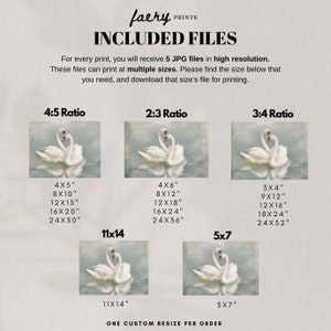 May include: A digital download of five high-resolution JPG files featuring a watercolor painting of two swans in a heart shape. The image is available in multiple sizes, including 4x5, 2:3, and 3:4 ratios. The text "faery PRINTS" and "INCLUDED FILES" is at the top of the image. The text "ONE CUSTOM RESIZE PER ORDER" is at the bottom of the image.
