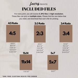 May include: A graphic showing different aspect ratios for digital prints, with measurements in inches. The aspect ratios are 4:5, 2:3, and 3:4. The graphic includes the text "faery PRINTS" and "INCLUDED FILES".