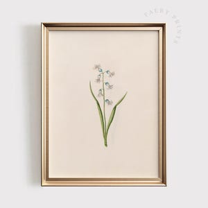 Lily of the Valley Print | Vintage Floral Art | Antique Botanical PRINTABLE Wall Art | Delicate Nursery Decor | Digital Download | #1403