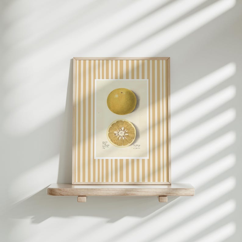 May include: A framed print of a yellow citrus fruit, with a striped background. The fruit is shown whole and sliced in half. The print has text that reads "Citrus Grandis (L.) Osbeck.  Pamplemousse.  Grapefruit.  Pompelmoos.  Pomelo."