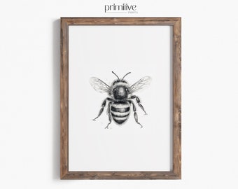 Bee Print | PRINTABLE Wall Art | Honey Bee Sketch | Insect Digital Artwork | Botanical Nature Print | Neutral Wasp Drawing | #491