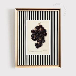 Grape Fruit Print | Vintage Kitchen PRINTABLE Wall Art | Moody Kitchen Print | Black Kitchen Decor | Vintage Purple Grapes Art | #1448