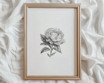Op de afbeelding: Een zwart-witte potloodtekening van een pioenroos in een gouden lijst.